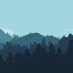 Minimalist brand design